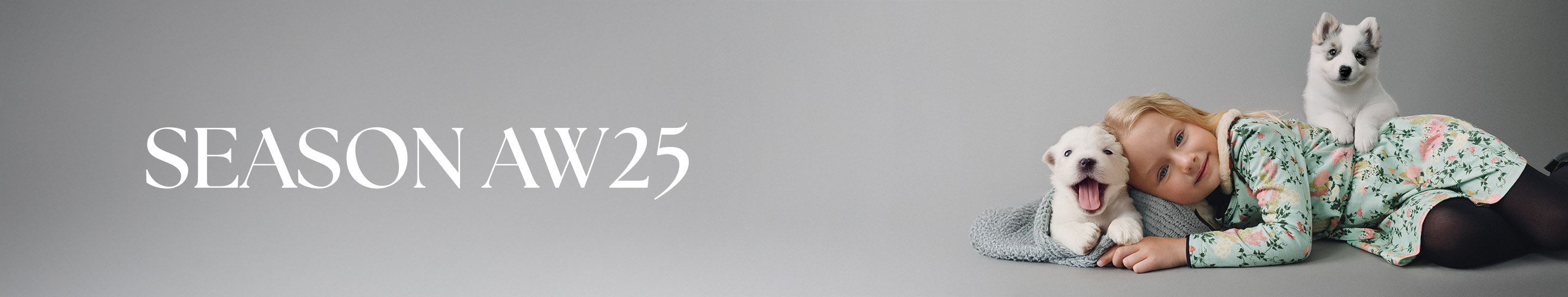 Desktop topbanner ni os01